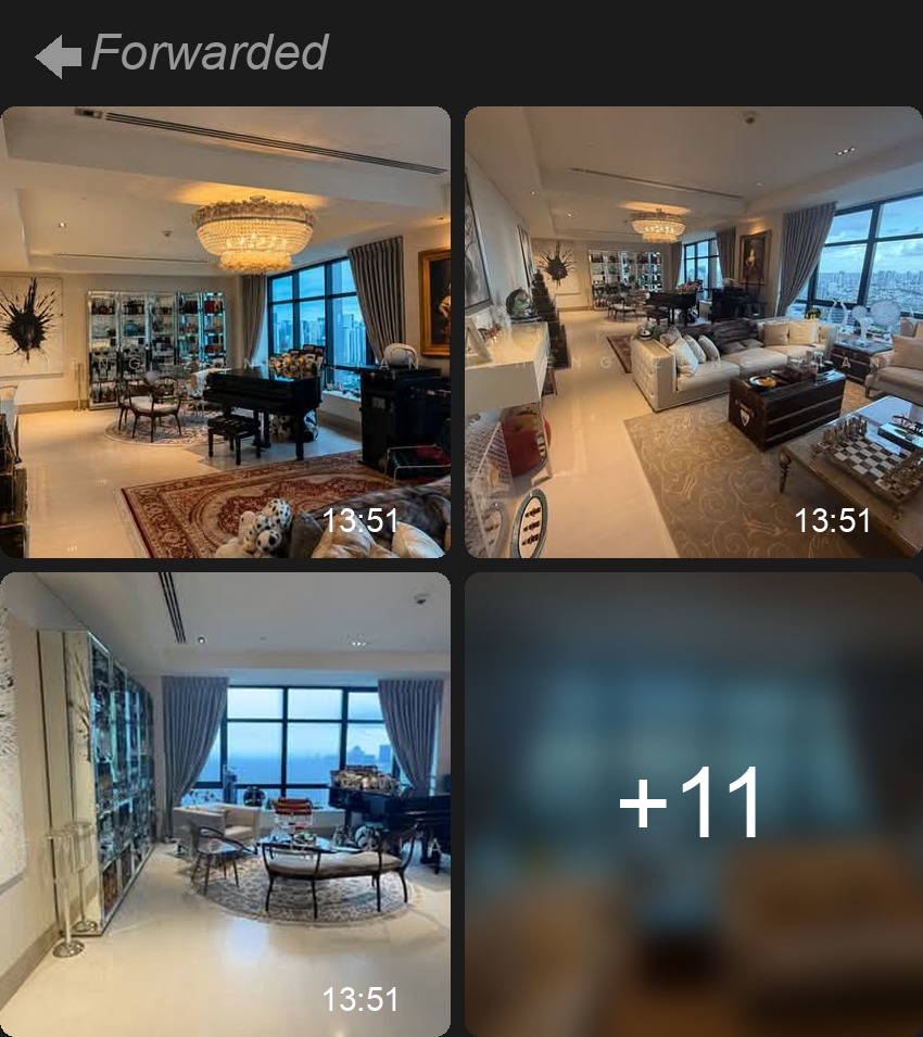 Ritz property photos
